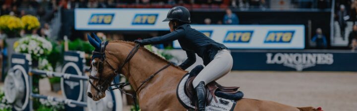 brown-horse-jumping-with-rider