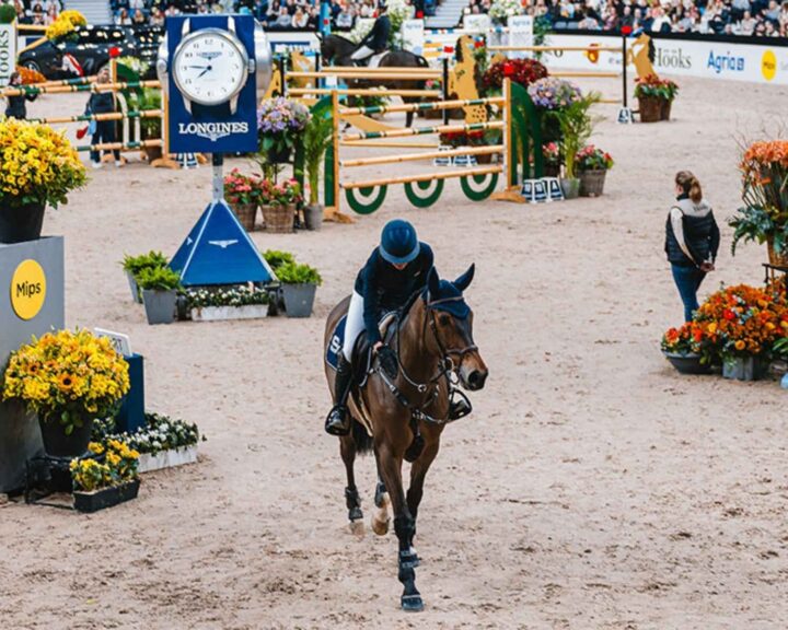 Ryttare på häst vid en hinderbana, omgiven av blommor och växter på en ridarena.