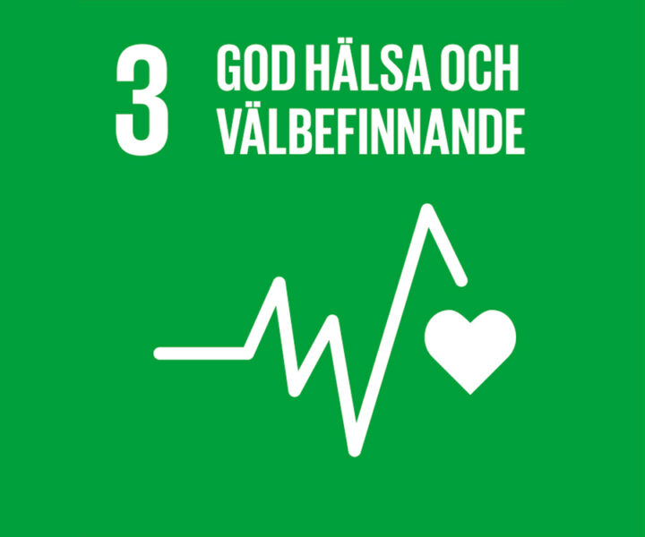 Ikon för FN:s globala mål nummer 3 god hälsa och välbefinnande, med hjärtsymbol och EKG-linje