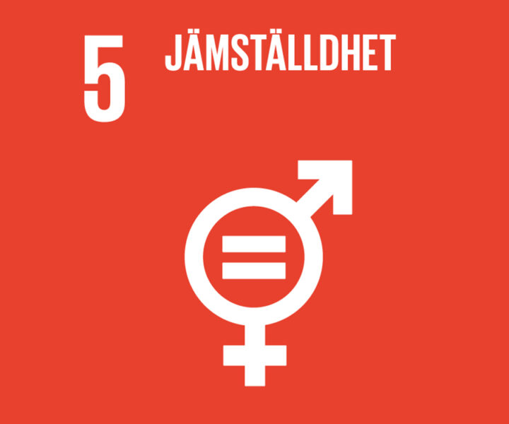 Ikon för FN:s globala mål nummer 5, jämställdhet, med symbol för kvinnor och män