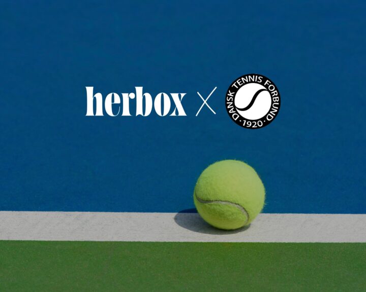 Tennisboll på plan med Herbox och Dansk Tennis Forbund logotyper.